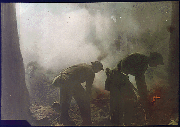 Boys from Illinois fight Tillamook (Oregon) fire