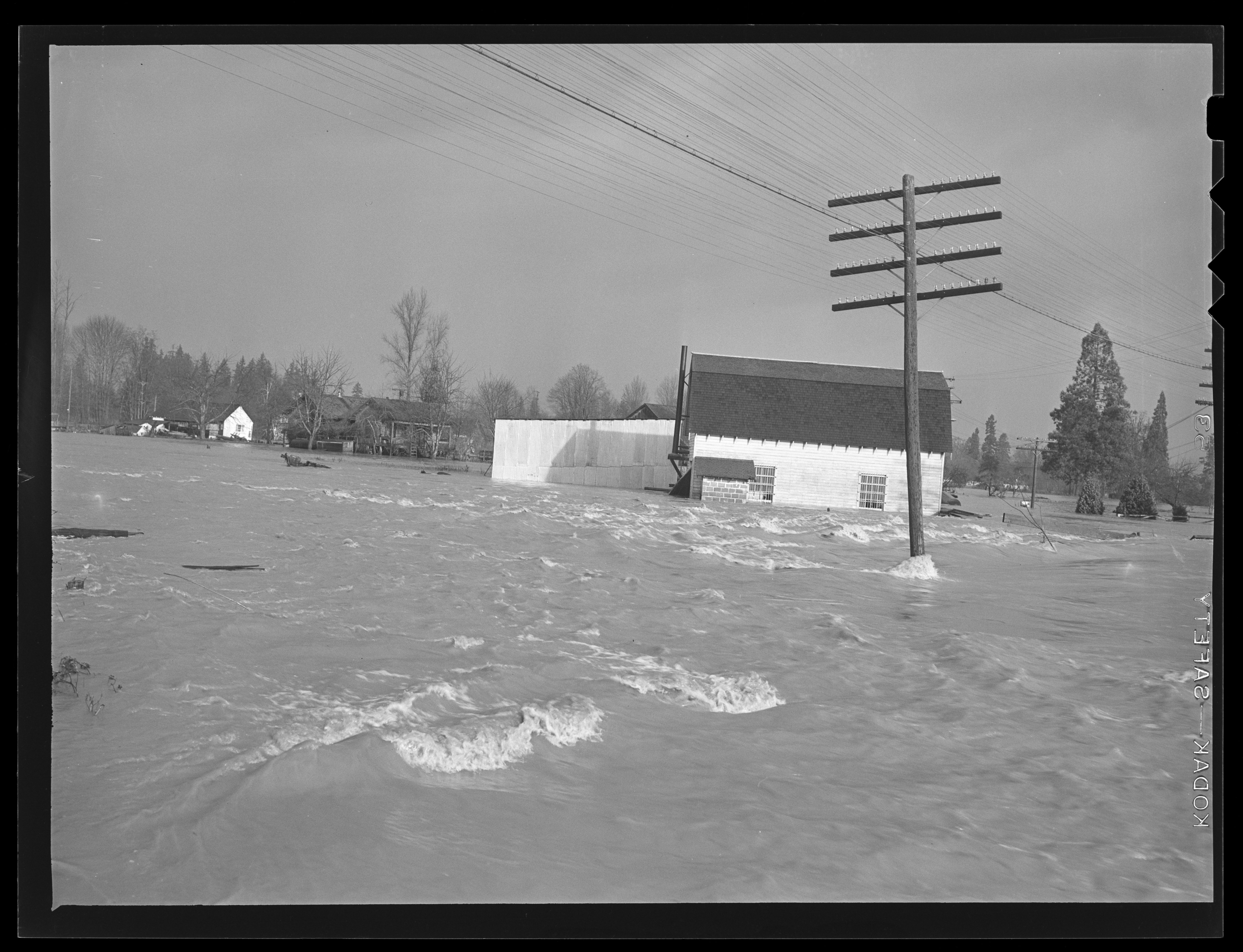 Eugene Flood