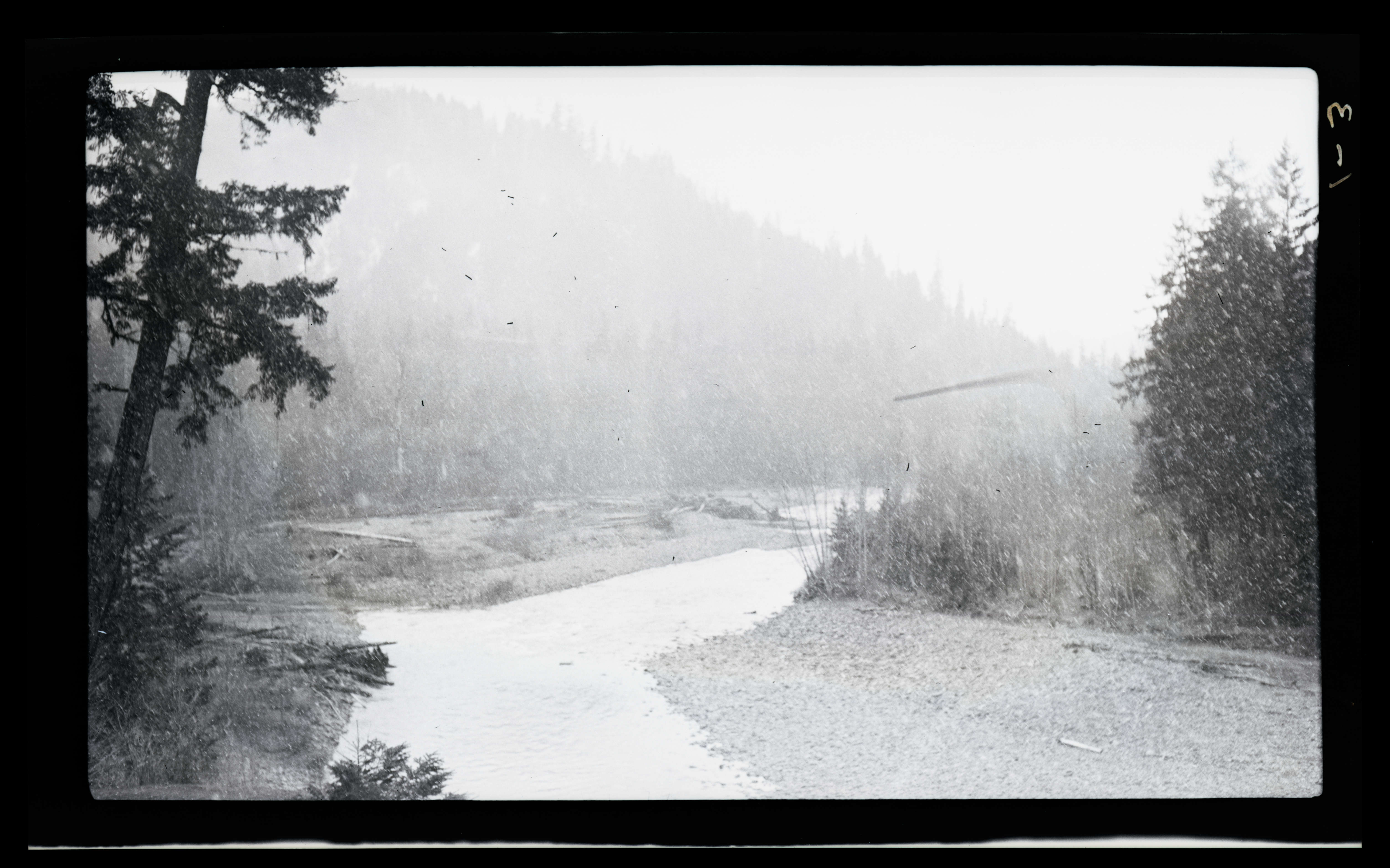 View of the Upper Willamette